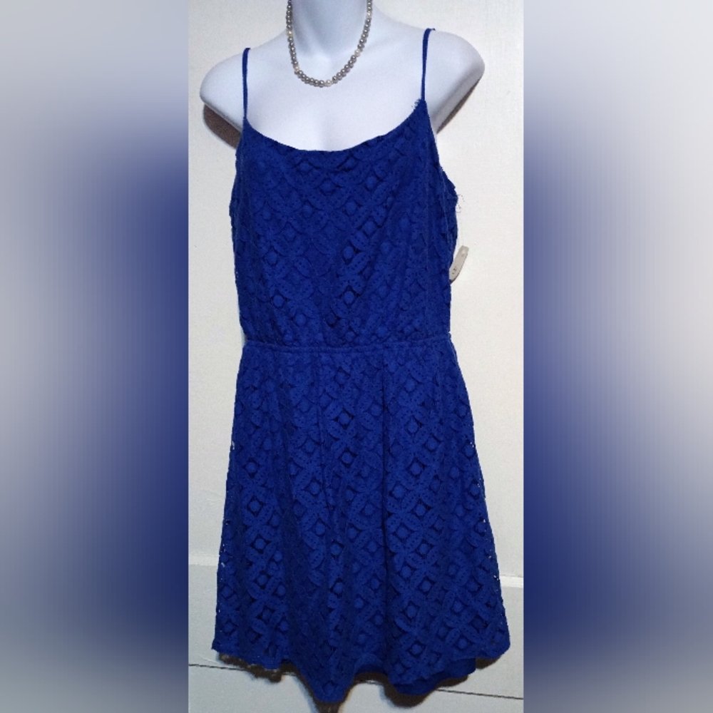Peaches & Cream Elegant Blue Lace Dress
